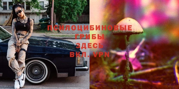 тгк Алексеевка